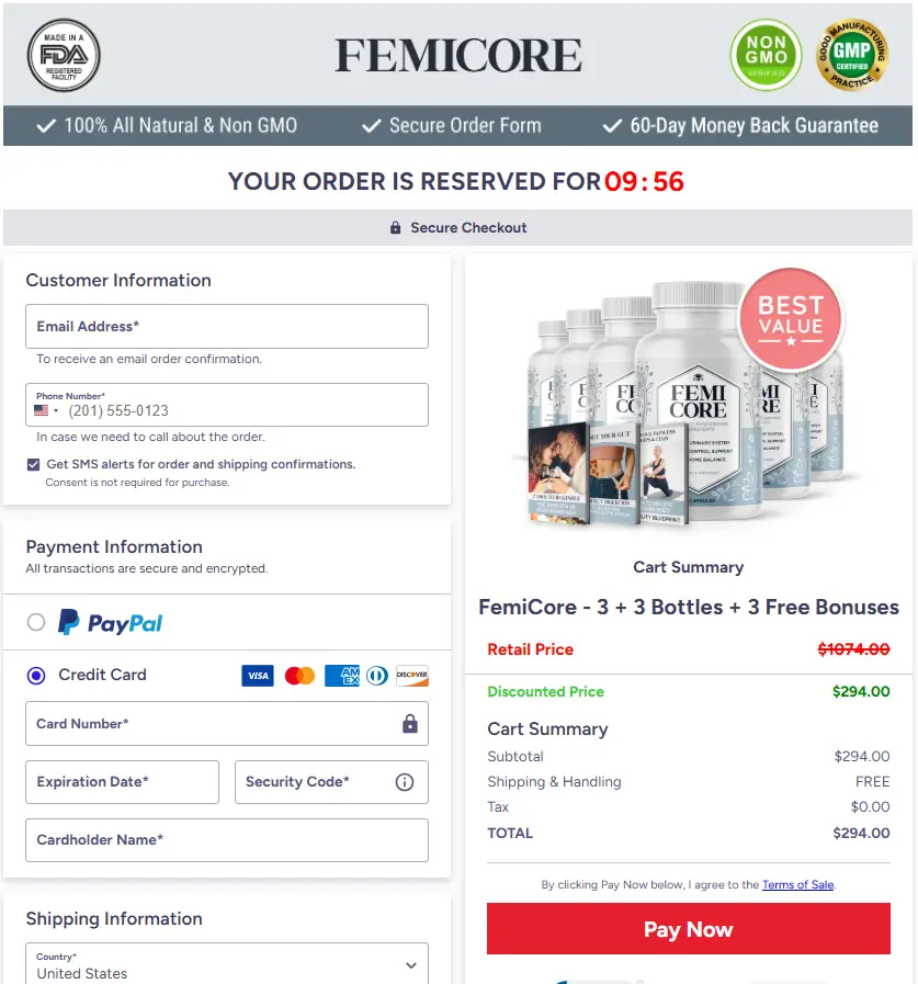 FemiCore-Secure-Checkout